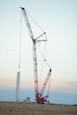 New Crane for Sale